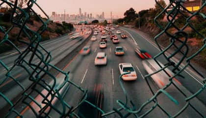 高端局！美媒晒多位球星近期野球局 戈登、穆雷、小贾等人在列